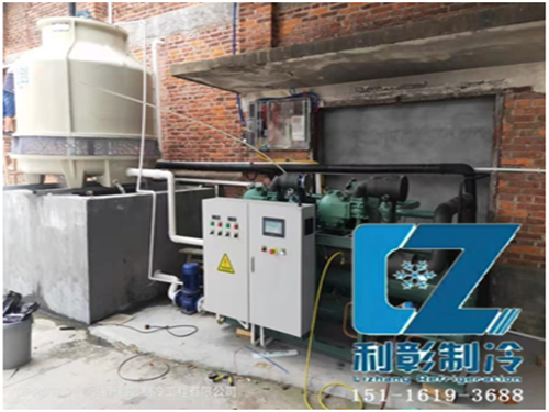 株洲生姜保鮮儲(chǔ)存冷庫1